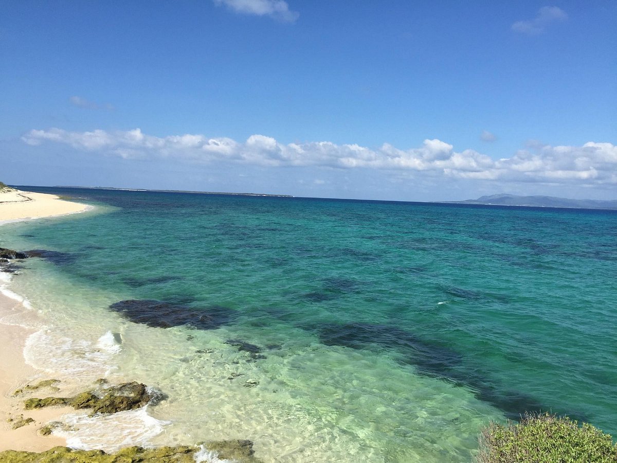 🏖️ 니시노하마 해수욕장 이미지 4